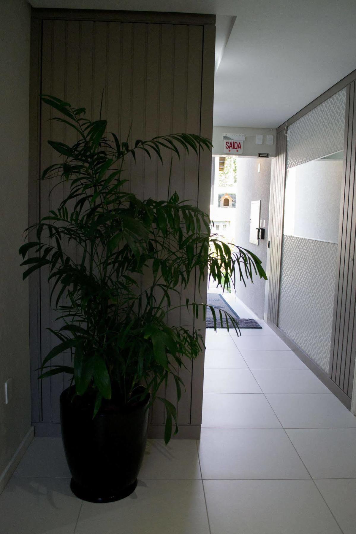 Aparthotel Ingleses Paradise